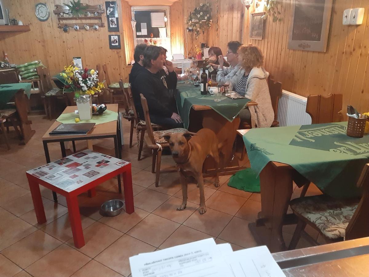 Pension Mikulka Mikulov v Krusnych Horach Екстериор снимка